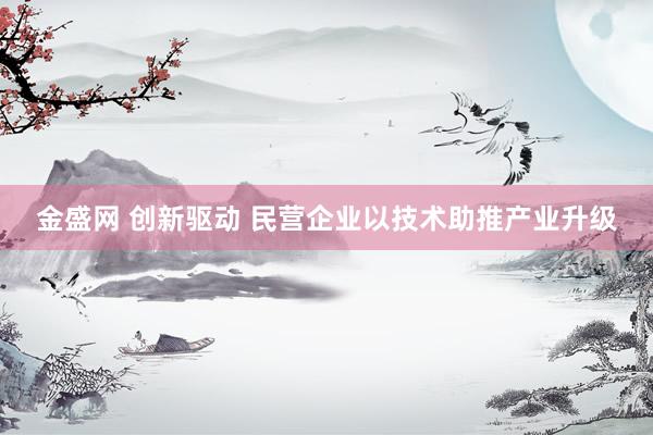 金盛网 创新驱动 民营企业以技术助推产业升级