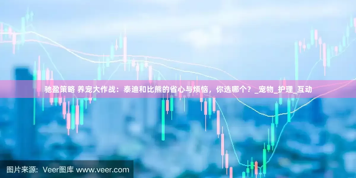 驰盈策略 养宠大作战：泰迪和比熊的省心与烦恼，你选哪个？_宠物_护理_互动