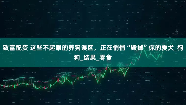 致富配资 这些不起眼的养狗误区，正在悄悄“毁掉”你的爱犬_狗狗_结果_零食