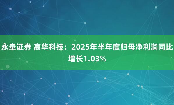 永崋证券 高华科技：2025年半年度归母净利润同比增长1.03%